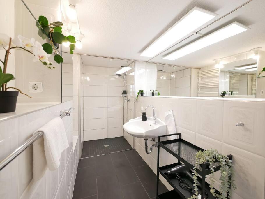 Ferienwohnung 110 M2, Dachterrasse, Kueche, Zentral, Ruhige Lage Paderborn Exterior foto