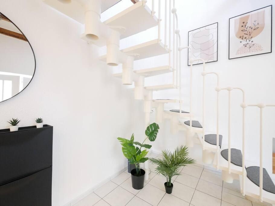 Ferienwohnung 110 M2, Dachterrasse, Kueche, Zentral, Ruhige Lage Paderborn Exterior foto